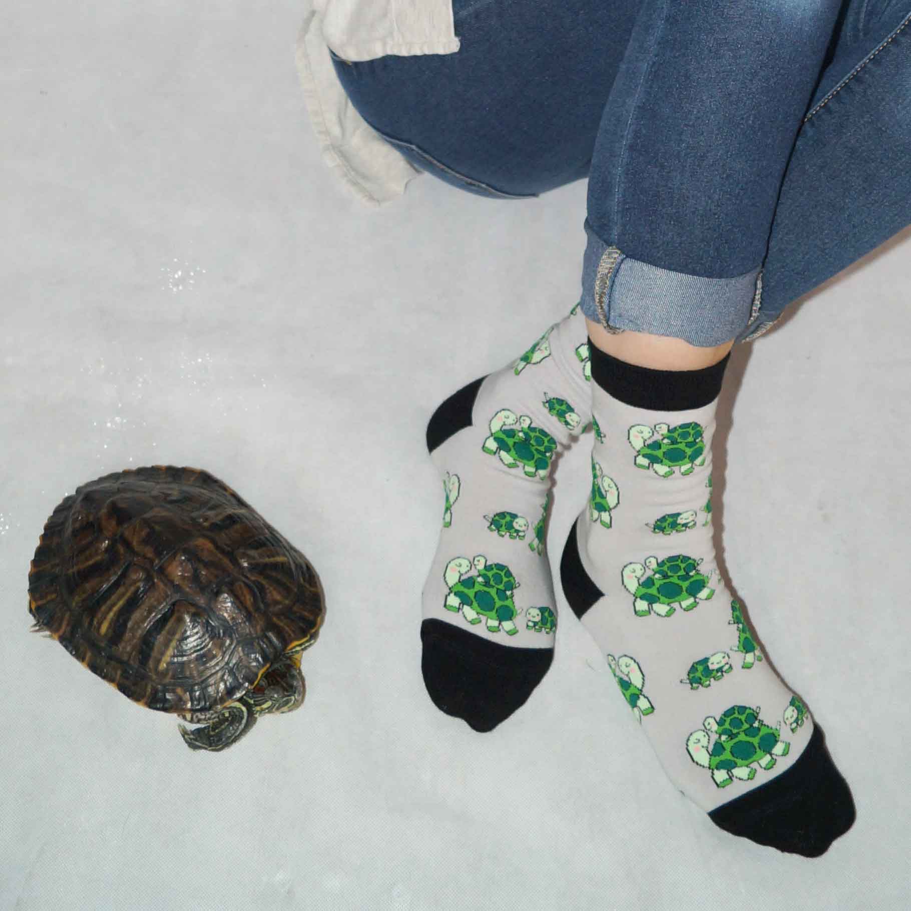 Turtle socks