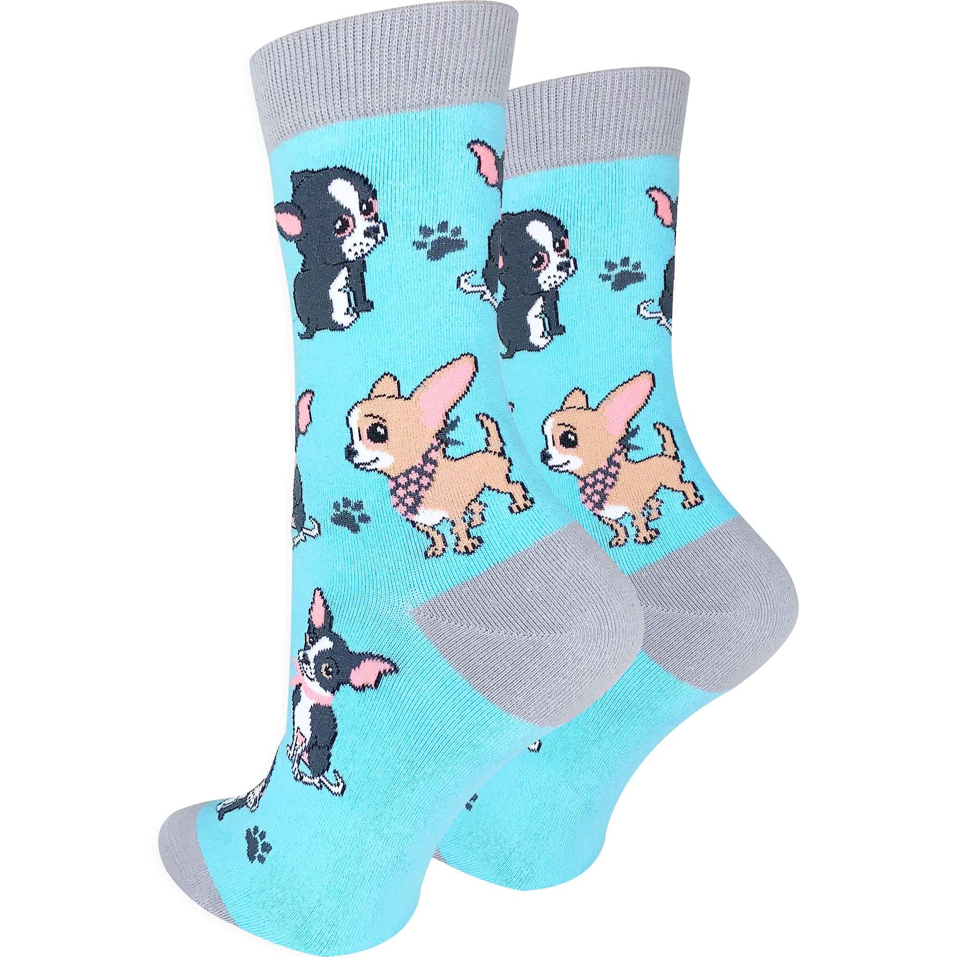 Chihuahua - Imagery Socks