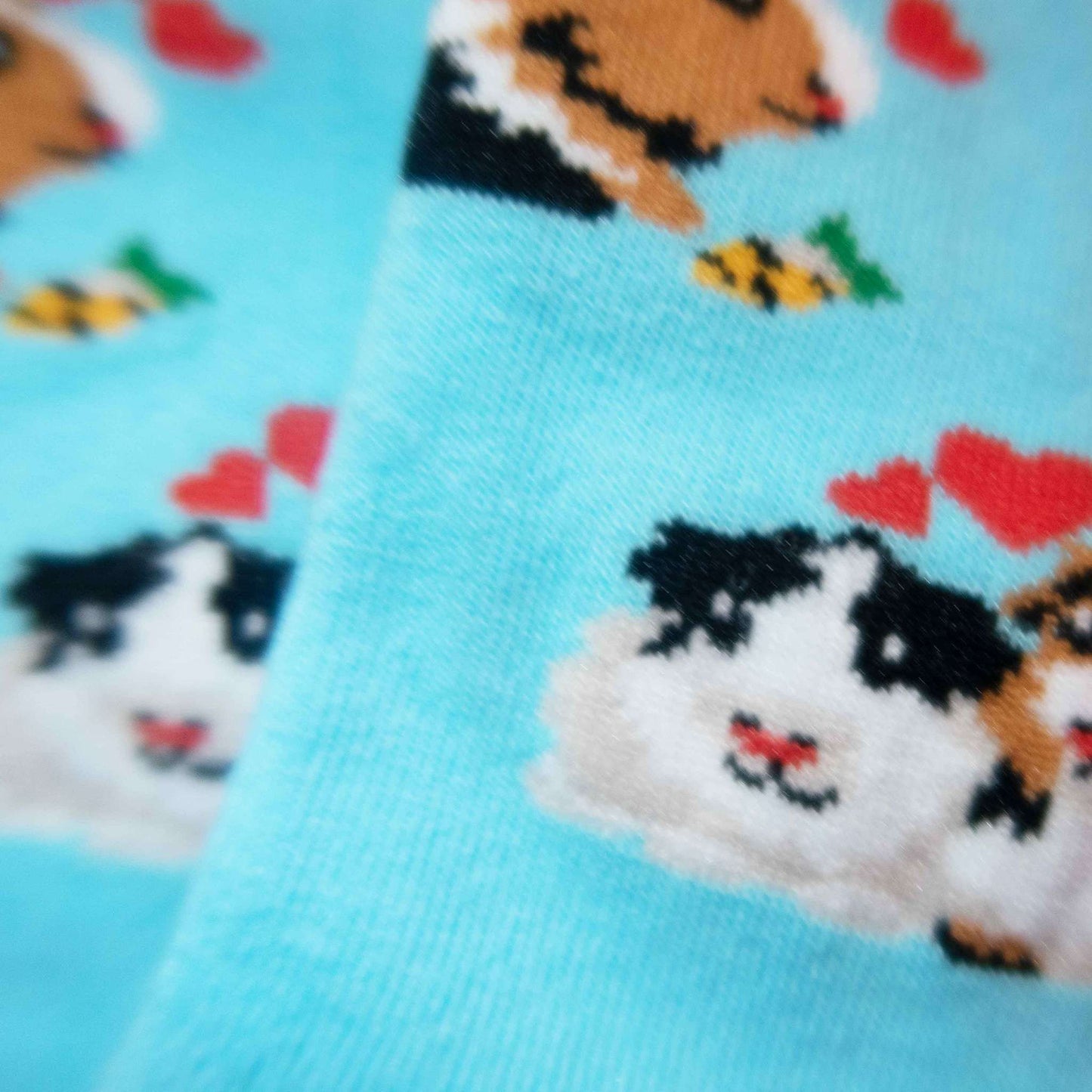 Guinea Pig - Imagery Socks