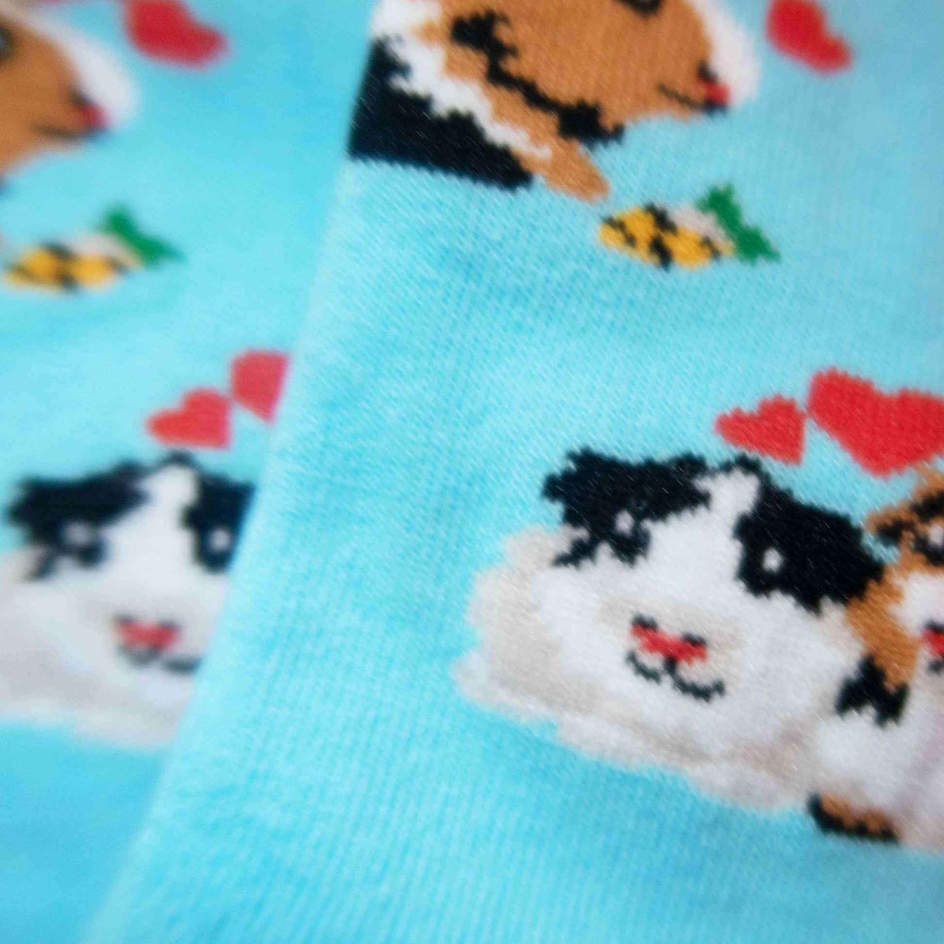 Guinea Pig - Imagery Socks