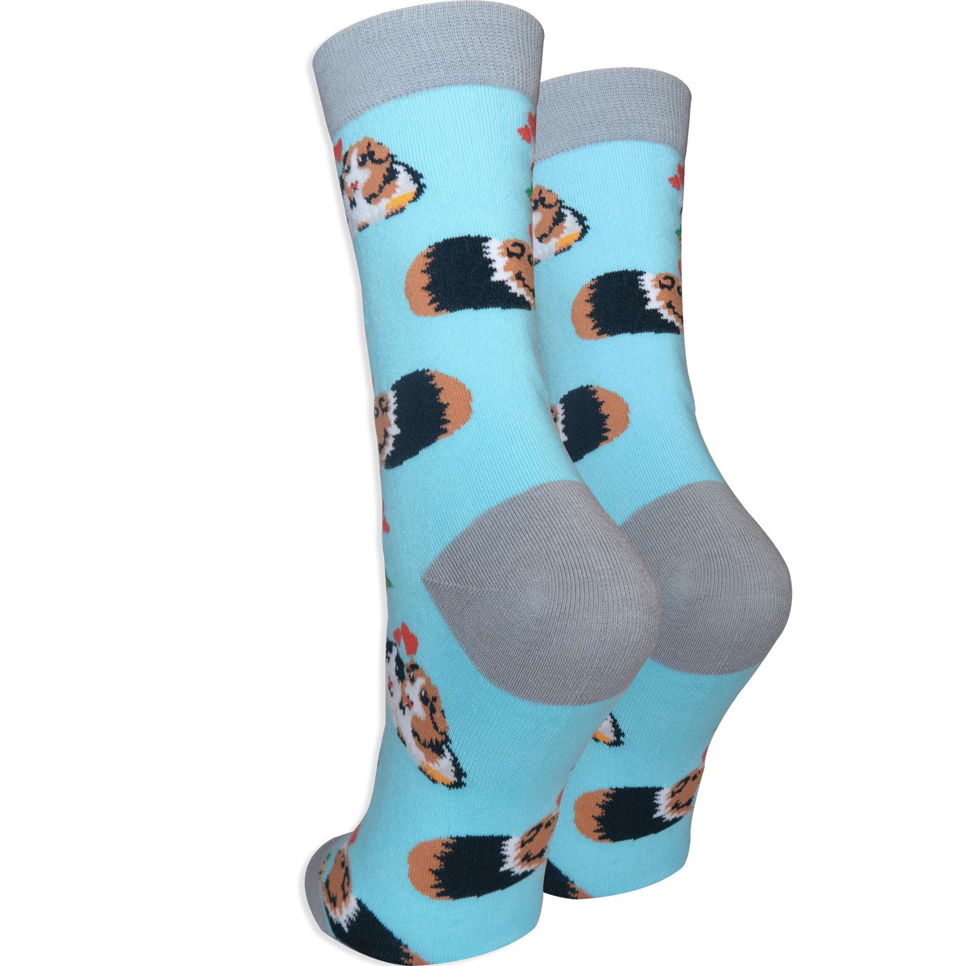 Guinea Pig - Imagery Socks