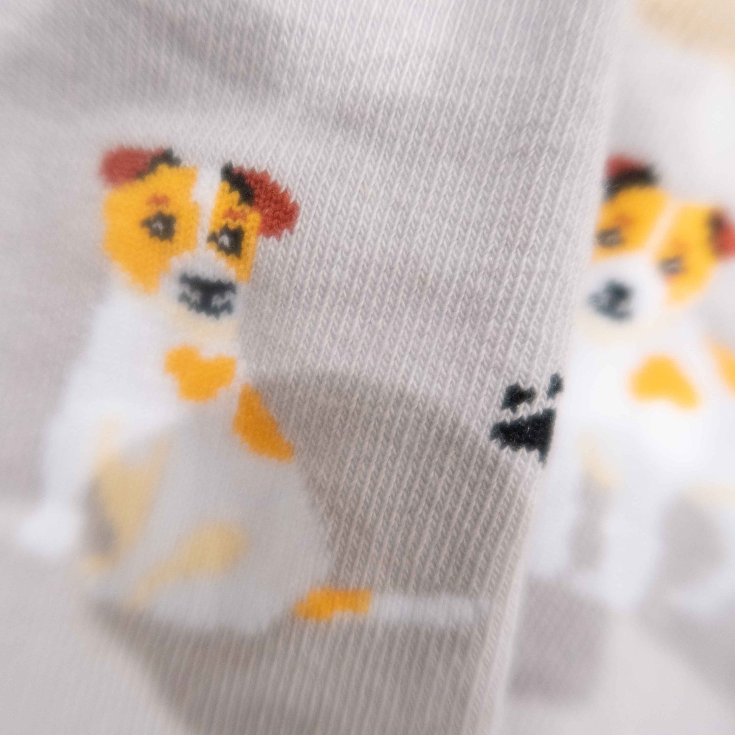 Jack Russell Terrier - Imagery Socks