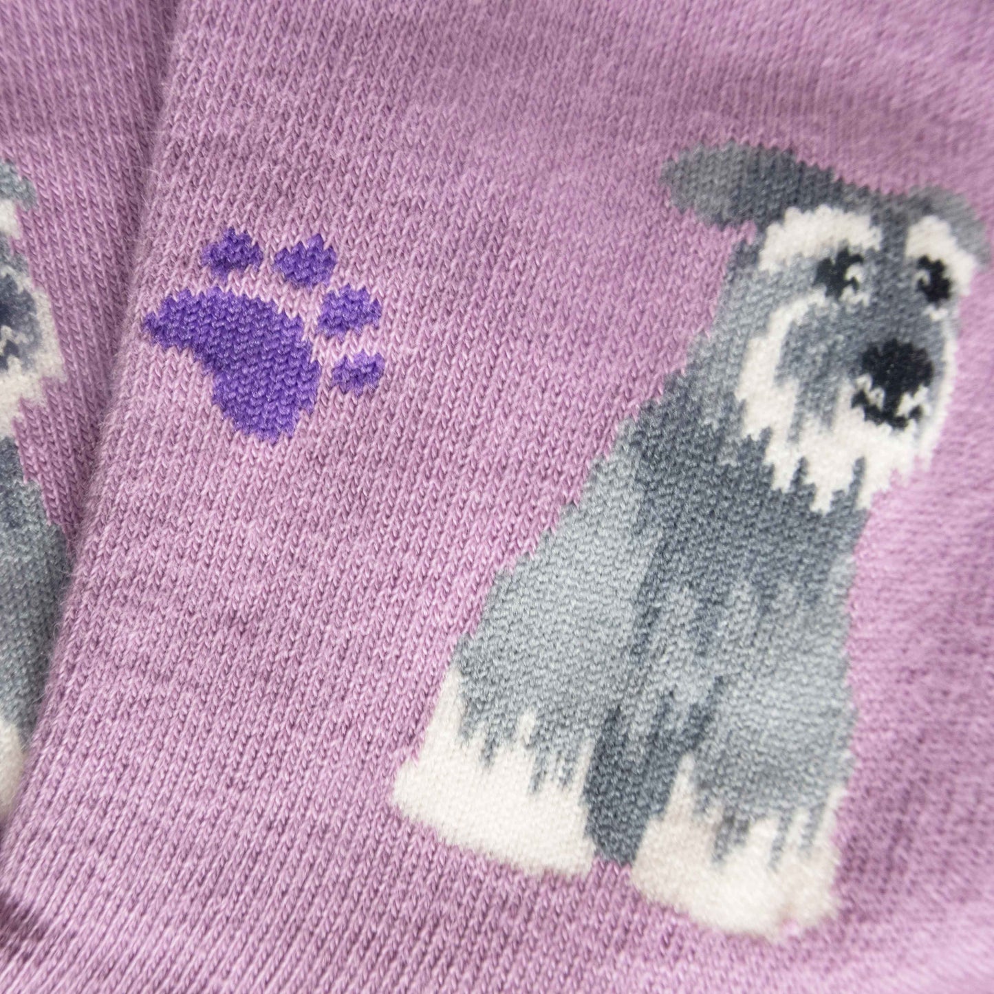 Schnauzer - Imagery Socks