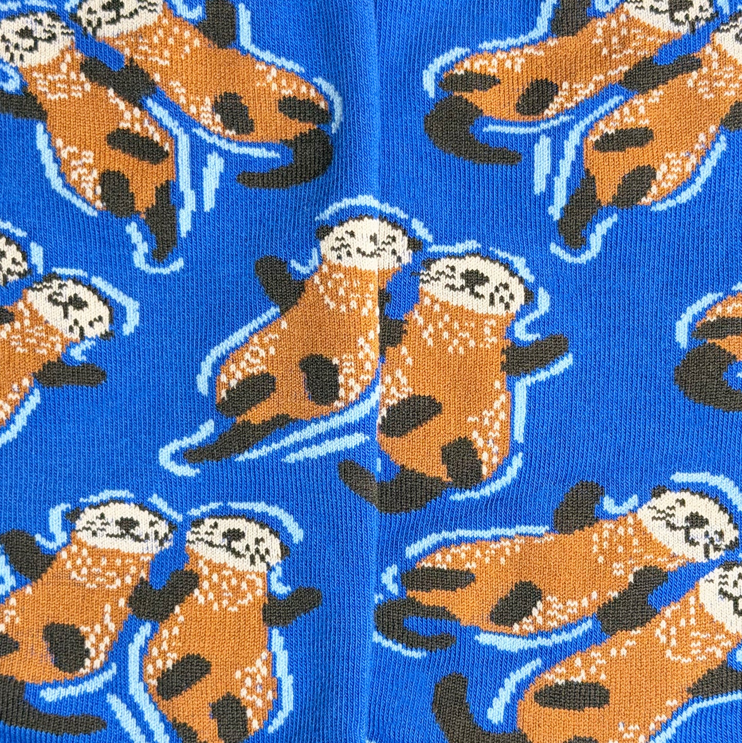Men's Sea Otter Socks
