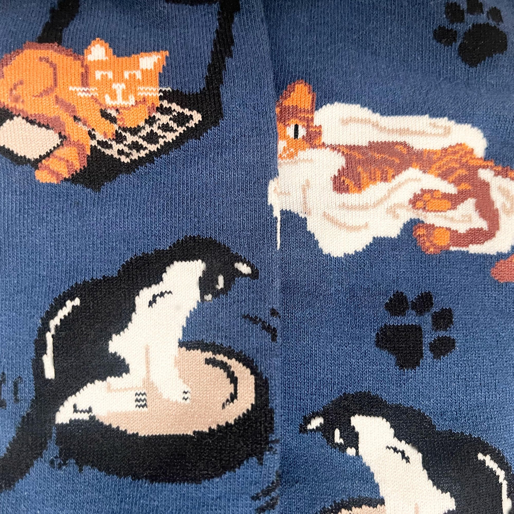 Men's Cat Socks - Imagery Socks