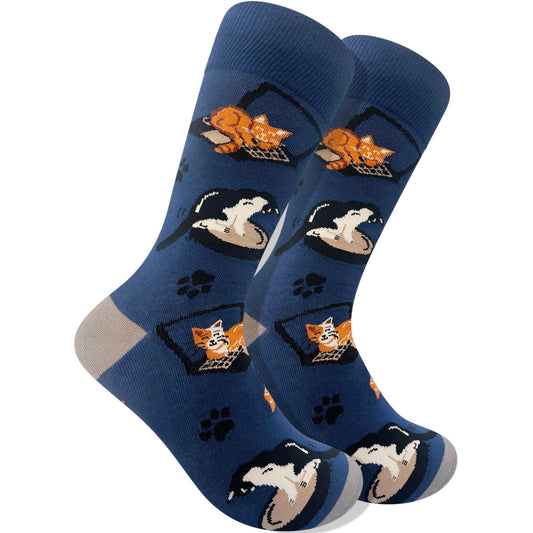 Men's Cat Socks - Imagery Socks