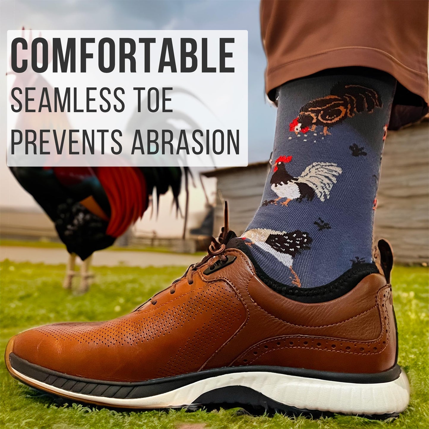 Men's Chicken Socks - Imagery Socks