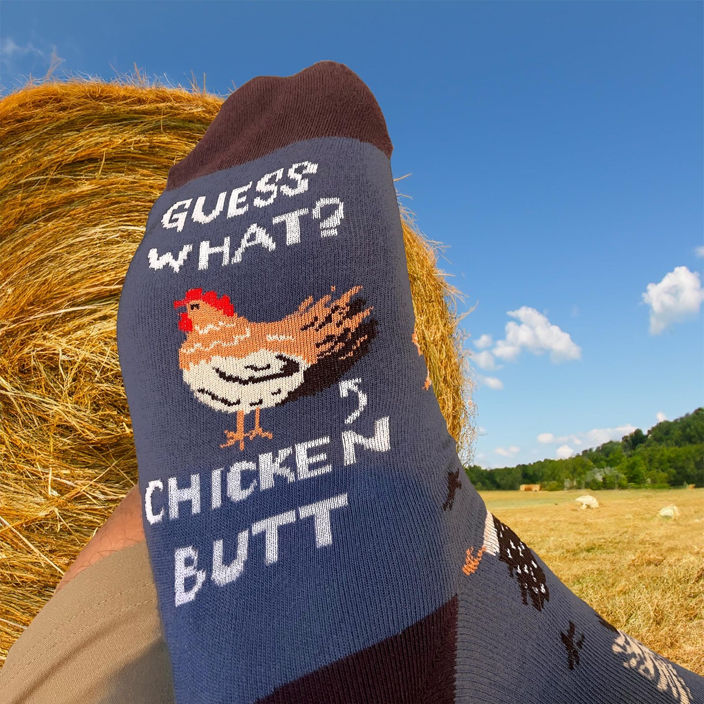 Men's Chicken Socks - Imagery Socks