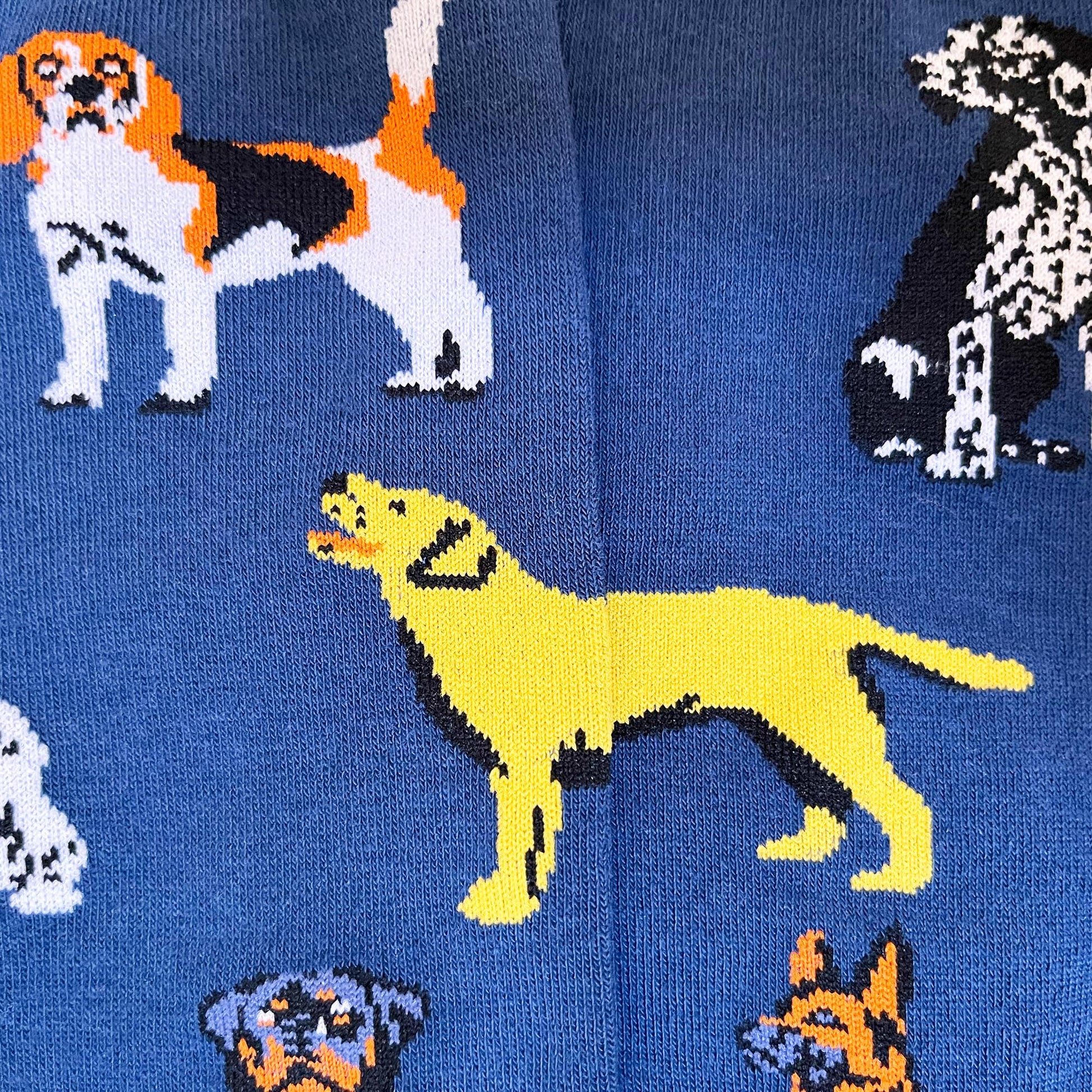 Men's Dog Socks - Imagery Socks