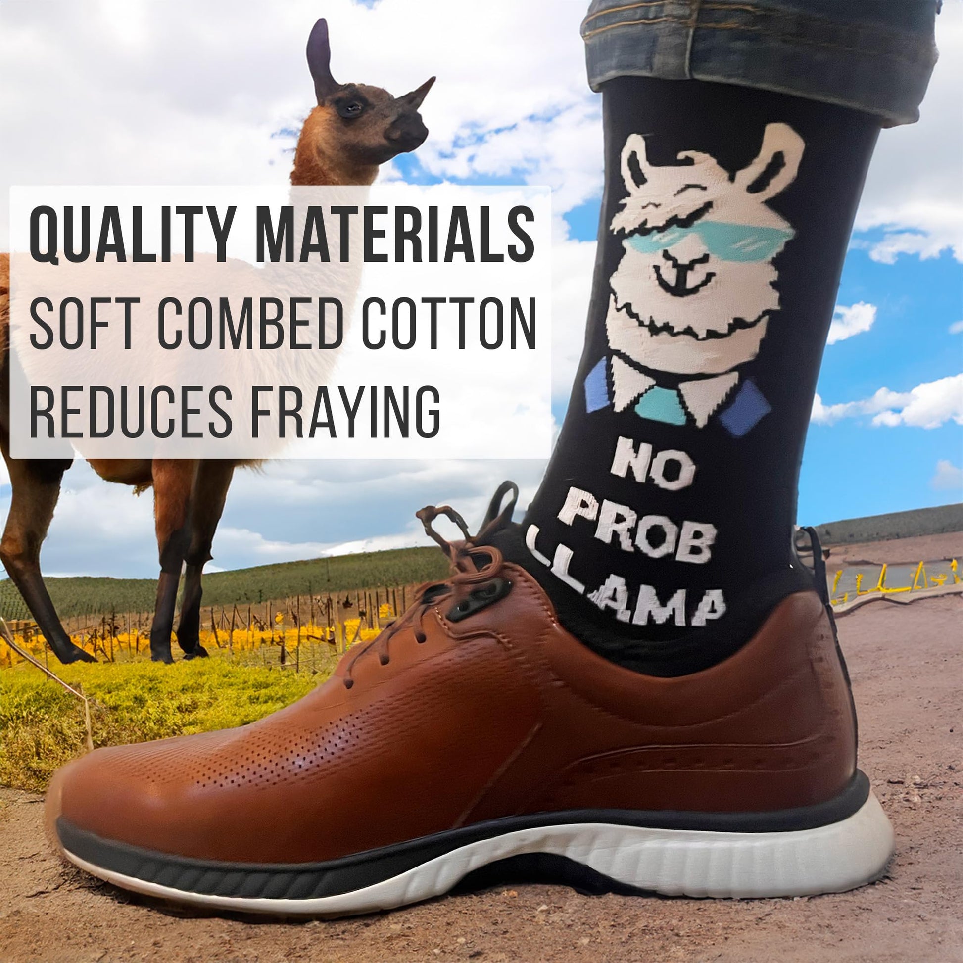 Men's Llama Socks - Imagery Socks