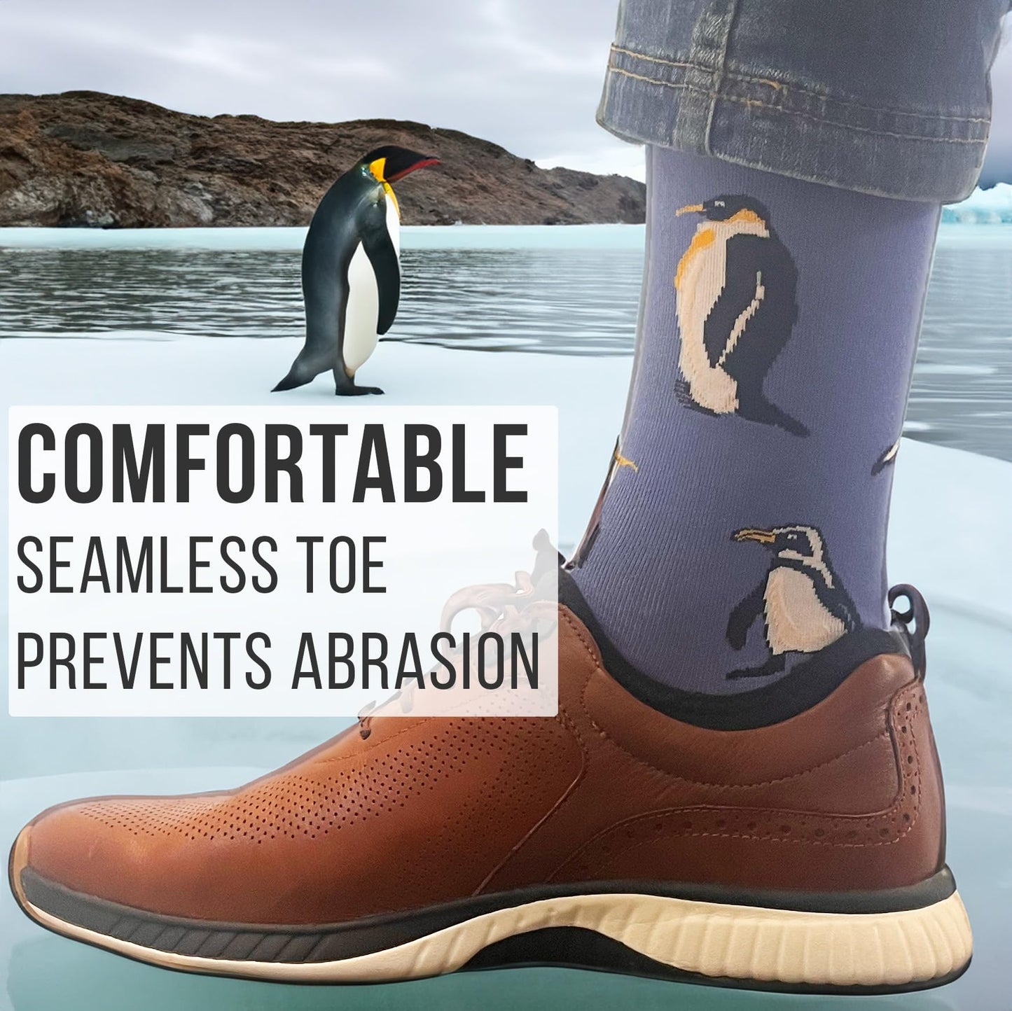 Men's Penguin Socks - Imagery Socks