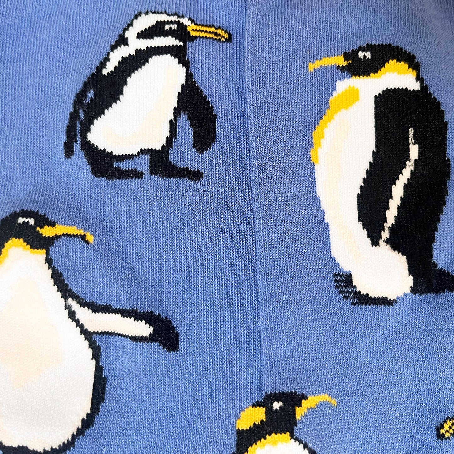 Men's Penguin Socks - Imagery Socks