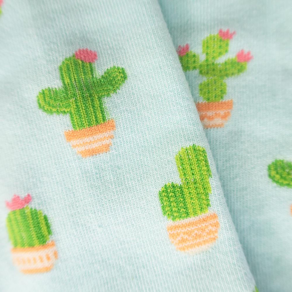 Cactus Socks - Imagery Socks