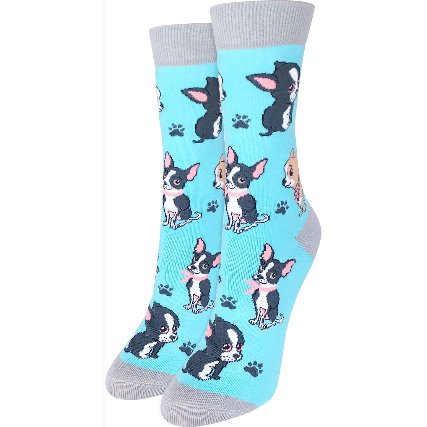 Chihuahua - Imagery Socks