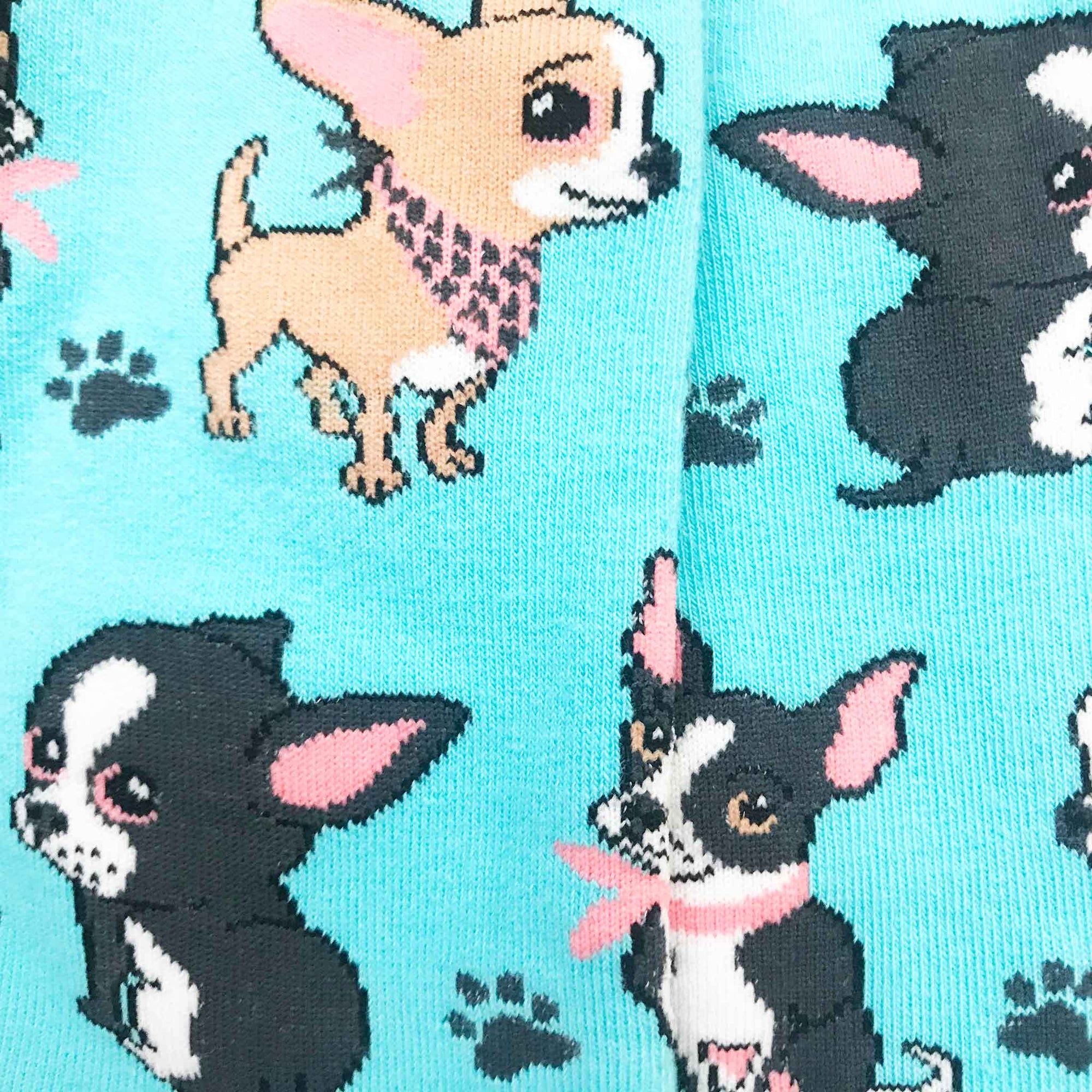 Women's Chihuahua Socks Imagery Socks