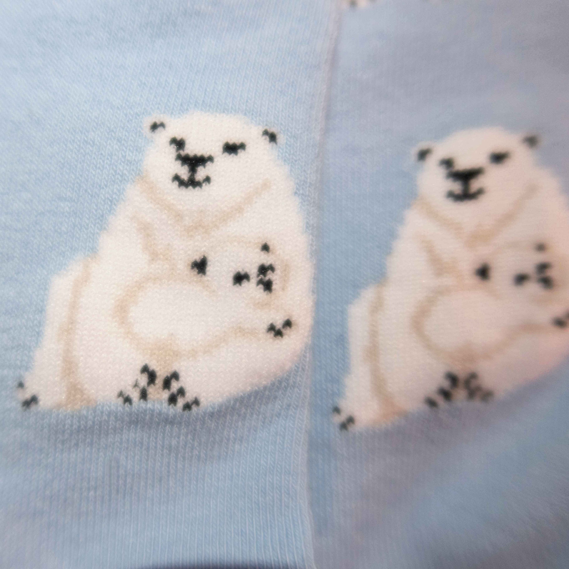 Polar Bear - Imagery Socks