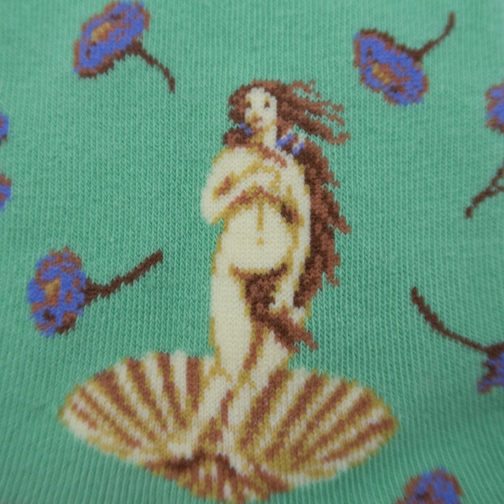 The Birth of Venus - Imagery Socks