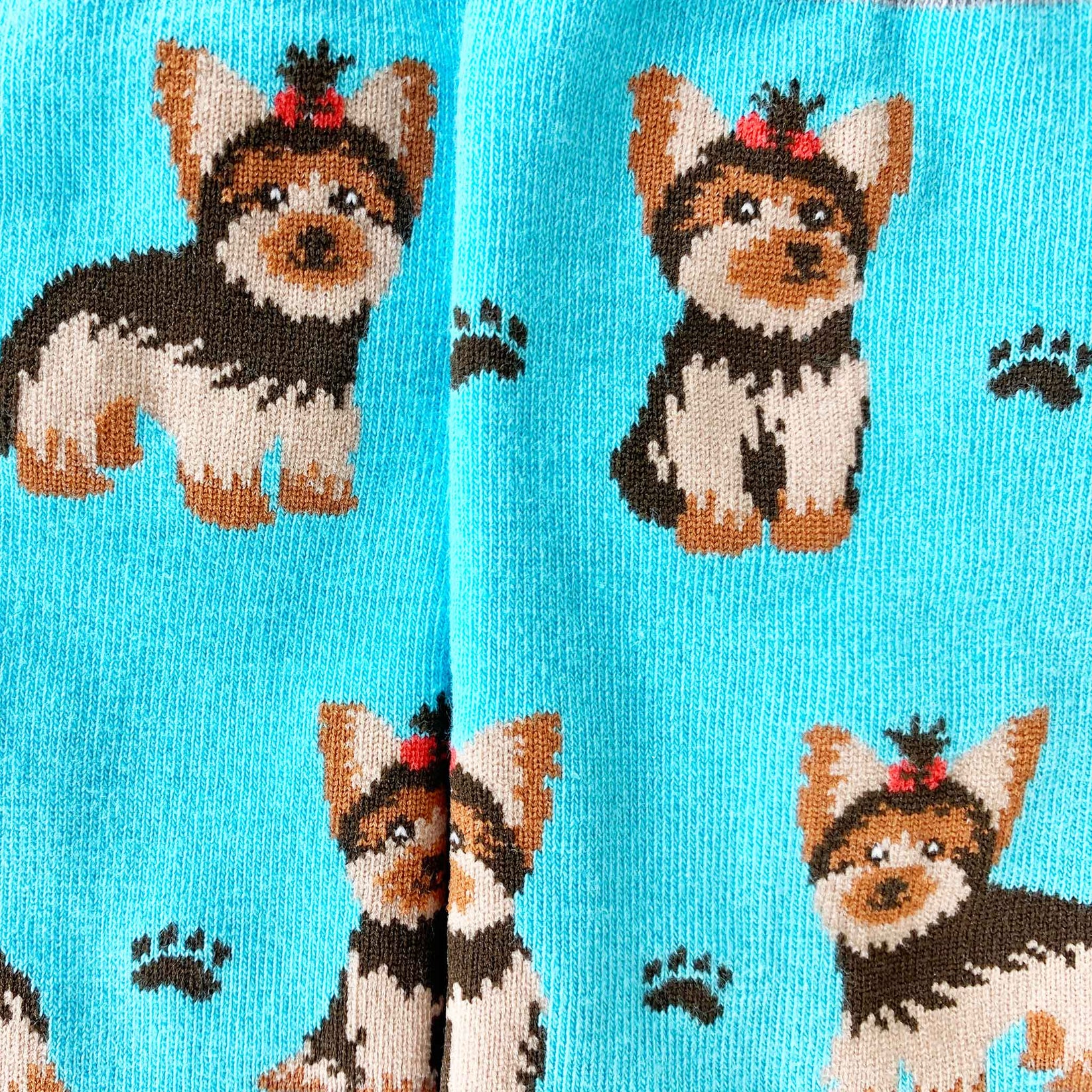 Women's Yorkie Socks Imagery Socks